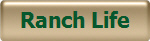 Ranch Life