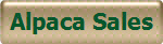 Alpaca Sales