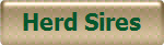 Herd Sires