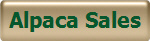 Alpaca Sales