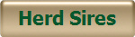 Herd Sires