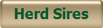 Herd Sires