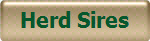 Herd Sires