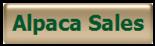 Alpaca Sales